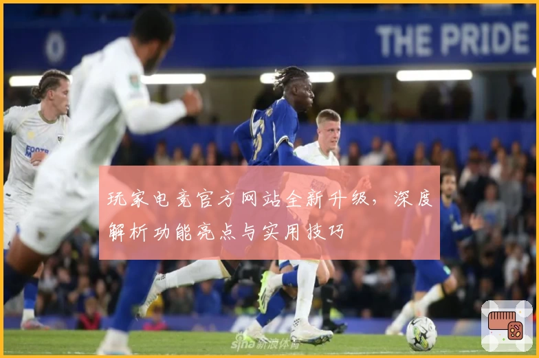 玩家电竞官方网站全新升级,深度解析功能亮点与实用技巧