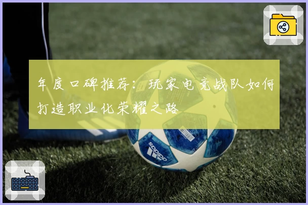 年度口碑推荐：玩家电竞战队如何打造职业化荣耀之路