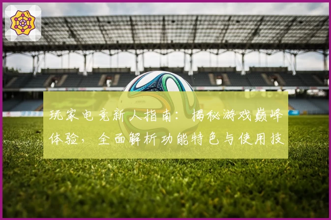 玩家电竞新人指南：揭秘游戏巅峰体验，全面解析功能特色与使用技巧