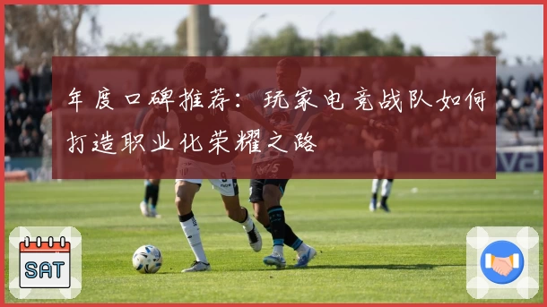 年度口碑推荐：玩家电竞战队如何打造职业化荣耀之路