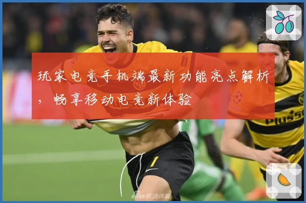 玩家电竞手机端最新功能亮点解析，畅享移动电竞新体验