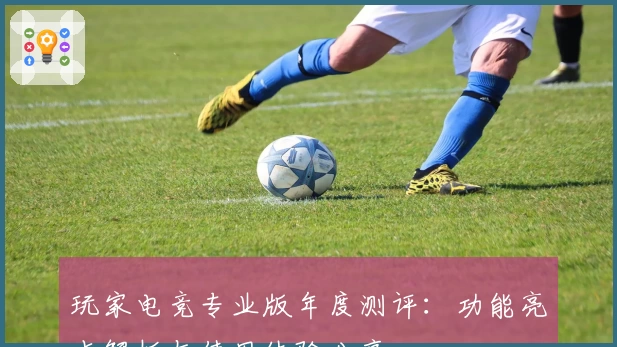 玩家电竞专业版年度测评：功能亮点解析与使用体验分享