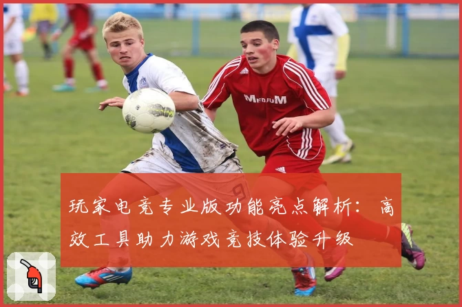 玩家电竞专业版功能亮点解析：高效工具助力游戏竞技体验升级